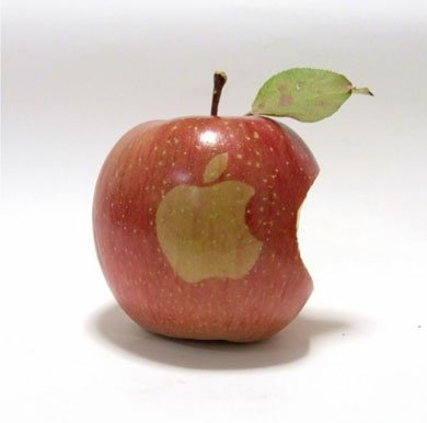 В Японии вырастили яблоки Apple