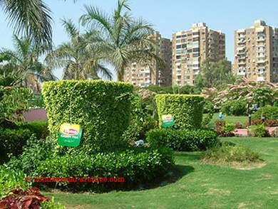 В Каире Lipton использует зеленые кусты