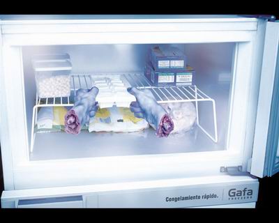 sm 2 Холодильники GAFA   моментальное замораживание
