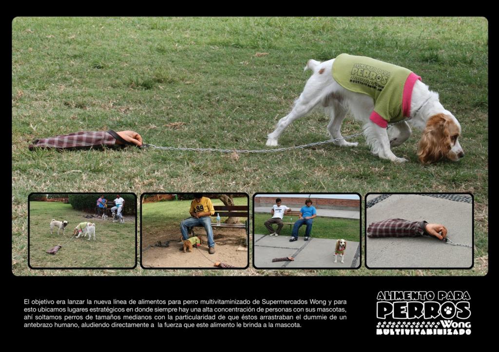 perros Страхи перуанских собаководов 